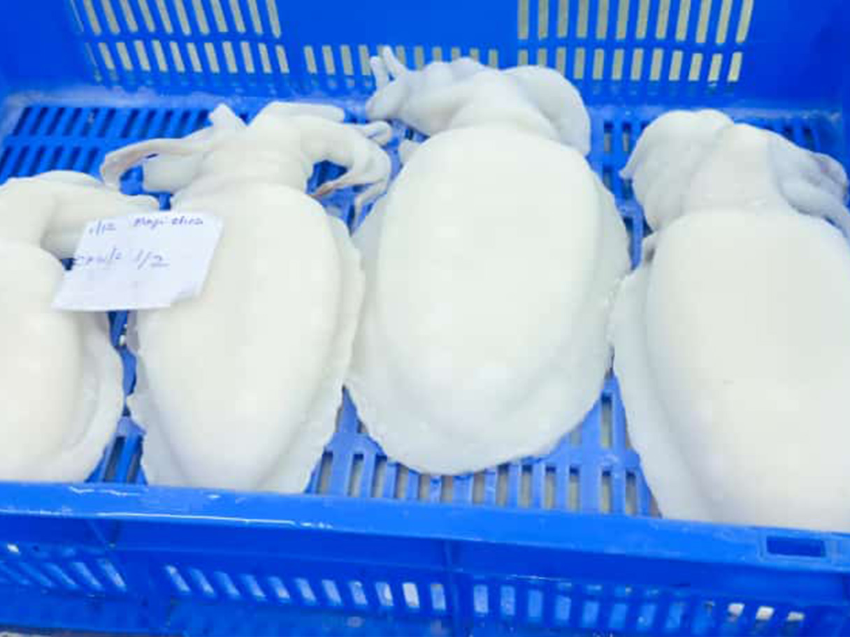 Cuttlefish Whole Cleaned IQF