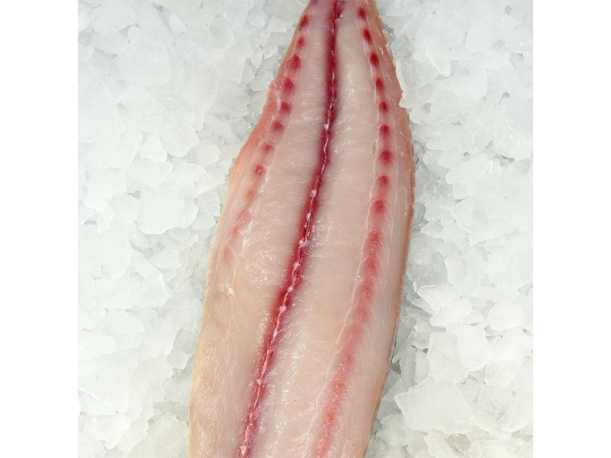 Mahi Mahi Fillet